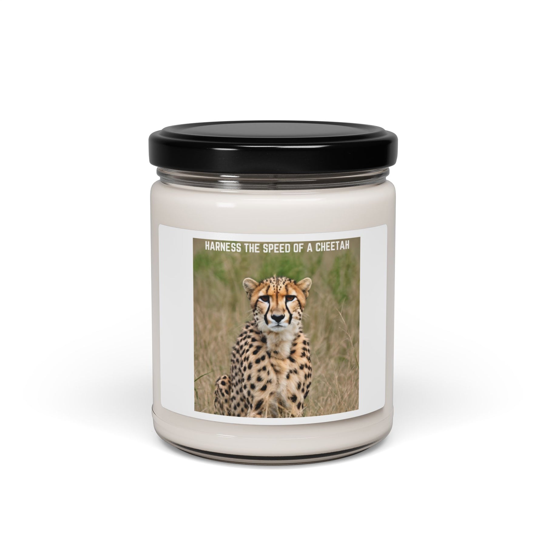 Cheetah Soy Candle, 9oz