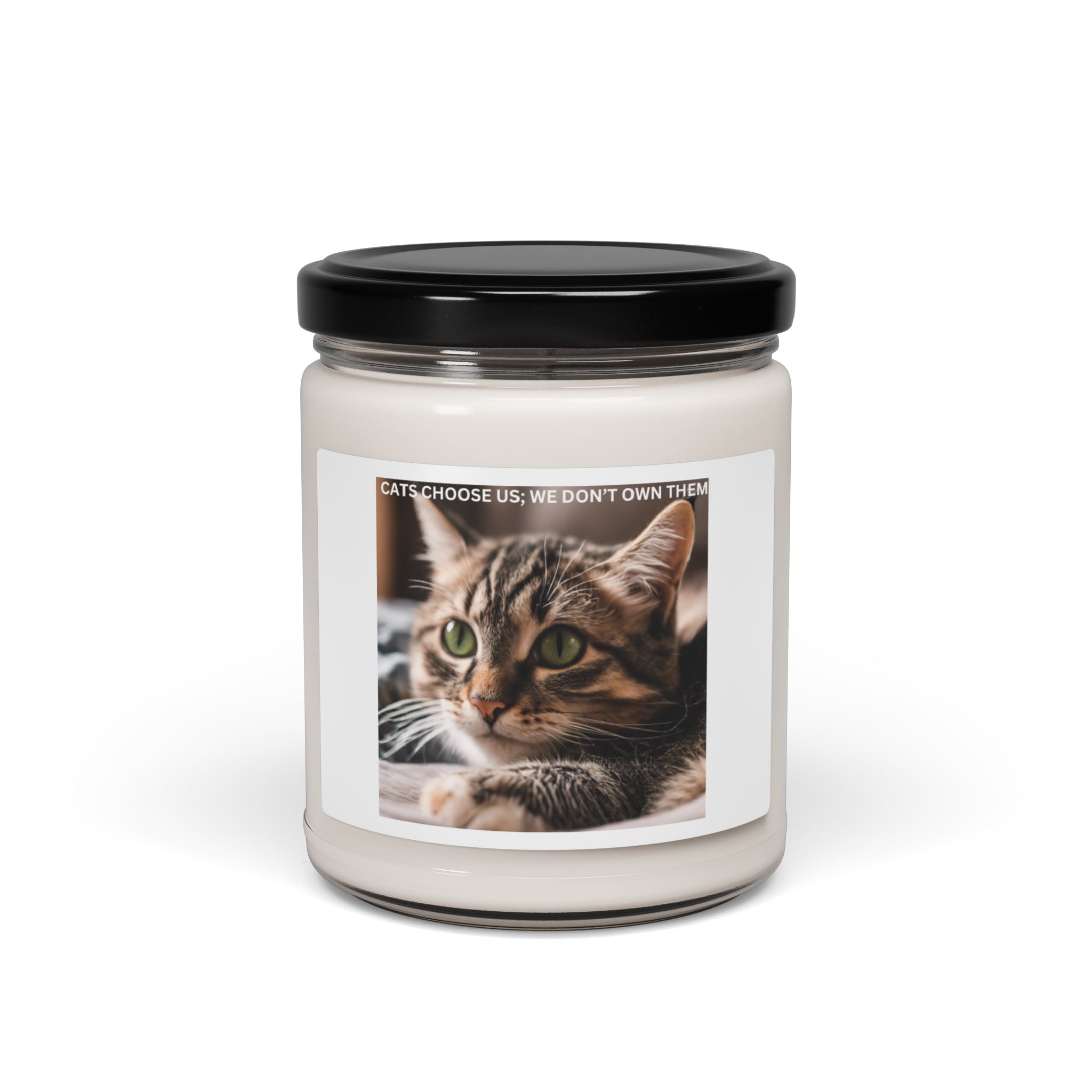 Kitty Cat Soy Candle, 9oz