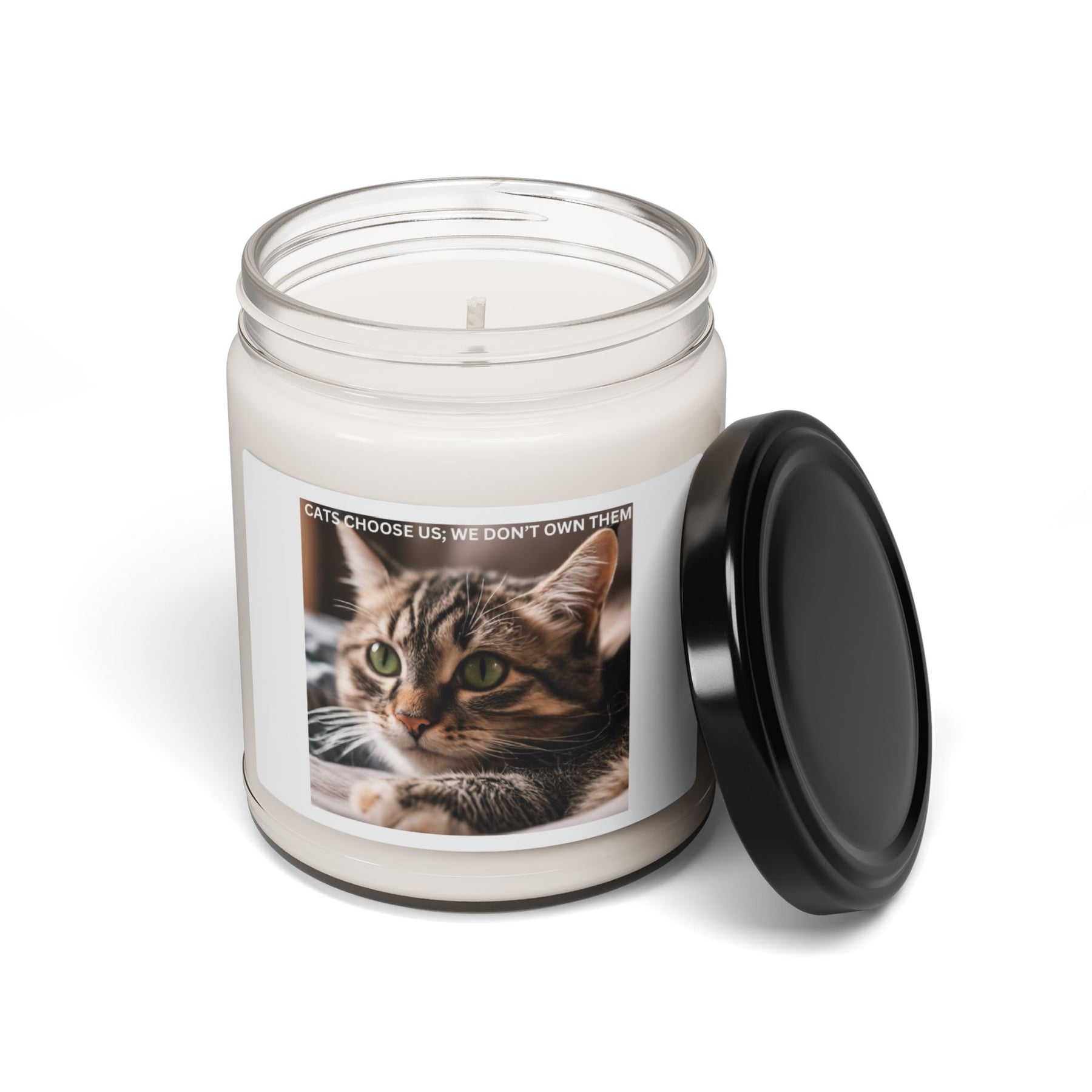 Kitty Cat Soy Candle, 9oz